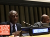 Kofi Appenteng - Africa-America Institute hosts screening of Africa’s Great Civilizations at the UN
