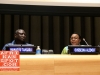 Mamadou Tangara and Ousseynou Alidou - Africa-America Institute hosts screening of Africa’s Great Civilizations at the UN