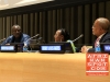 Mamadou Tangara - Africa-America Institute hosts screening of Africa’s Great Civilizations at the UN