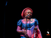 African-Advisory-Council-of-the-Bronx-1st-Annual-African-Heritage-Multicultural-Dance-and-Music-Festival-3644