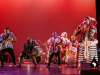 African-Advisory-Council-of-the-Bronx-1st-Annual-African-Heritage-Multicultural-Dance-and-Music-Festival-3652