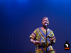 African-Advisory-Council-of-the-Bronx-1st-Annual-African-Heritage-Multicultural-Dance-and-Music-Festival-3661