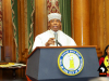 Brooklyn-Borough-President-Eric-Adams-Office-400-years-of-Fortitude-event-–-Liberating-our-Legacy-building-our-future-3081