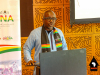 Ghanaian-delegation-promotes-Ghana-as-top-tourism-and-investment-destination-in-Africa-1433