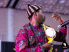 Guinean-singer-Natu-Camara-curates-free-concert-Harlem-Meets-Africa-2936