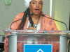 1_HCCI-17th-Awards-Gala-honors-Michael-Garner-Vy-Higginsen-Jennifer-Jones-Austin-Rev.-Reginald-Williams-Clark-Pena-Iesha-Sekou-Carolyn-Paul-Rev.-Dr.-William-Watkins-Jr-46