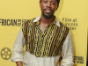 Film-HERO-directed-by-Frances-Anne-Solomon-and-spotlighting-Ulric-Cross-opens-26th-New-York-African-Film-Festival-founded-by-Mahen-Bonetti-7353