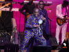 Senegalese-superstar-Youssou-NDour-returns-to-Carnegie-Hall-for-a-sold-out-show-9499