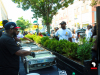 Sylvias-Legacy-Continues-in-Harlem-Every-August-1st-3463