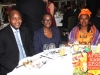 H.E. George Monyemangene - The Africa-America Institute 29th Annual Awards Gala