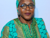 38th-Annual-Africa-America-Institute-Gala-6995