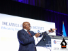 38th-Annual-Africa-America-Institute-Gala-7358