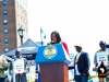 NYCs-African-Heritage-Celebration-and-Festival-5747