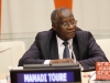 .E. Mamadi Touré - United African Congress Ebola Forum in New York