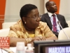 H.E. Marjon V Kamara - United African Congress Ebola Forum in New York