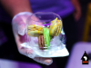 Uptown-Night-Market-celebrates-local-cuisine-community-and-culture-0157